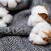 Exploring the Impact of Different Materials on Suit Selection