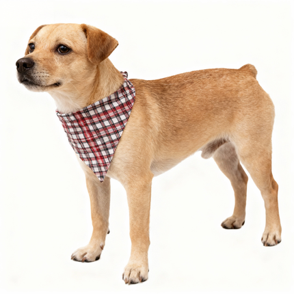 Christmas Pajamas Set Holiday Couple Red Plaid Button-Front Pajamas