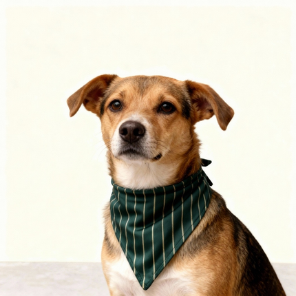 Elegant Satin Green Pajama Set for Couple