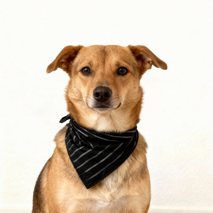 Elegant Satin Green Pajama Set for Couple