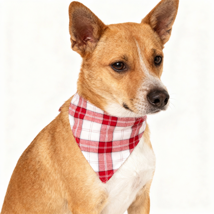 Matching Family Sleepwear Red White Plaid Christmas Pajamas Set