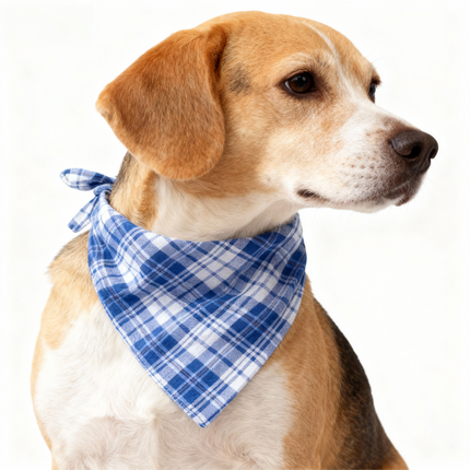 Matching Family Sleepwear Blue White Plaid Christmas Pajamas Set